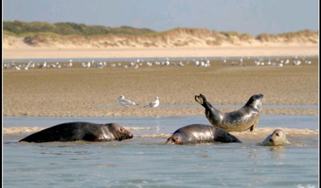 Sea-you Etaples-le Touquet *